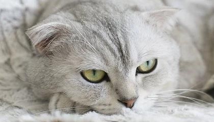 好点视频，好点视频网最新版本更新内容