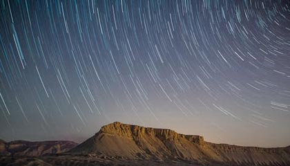 蘑菇家首页，蘑菇家族视频