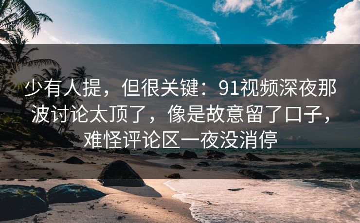 少有人提，但很关键：91视频深夜那波讨论太顶了，像是故意留了口子，难怪评论区一夜没消停