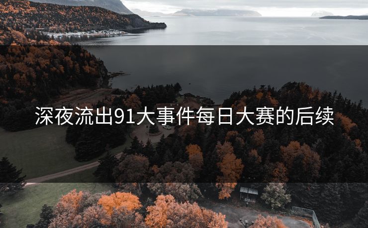 深夜流出91大事件每日大赛的后续