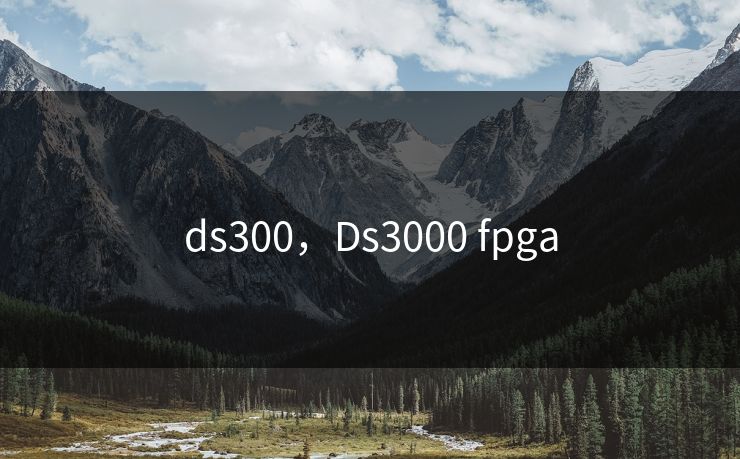 ds300,Ds3000 fpga ds300,Ds3000 fpga