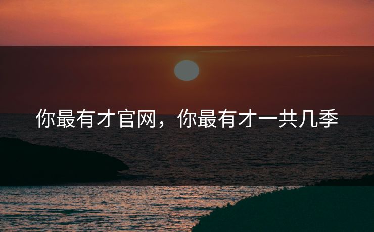 你最有才官网，你最有才一共几季